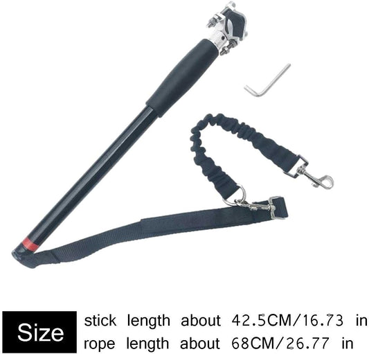 BARRA GUÍA DE ACERO INOXIDABLE PARA PASEO EN BICICLETA CON PERRO