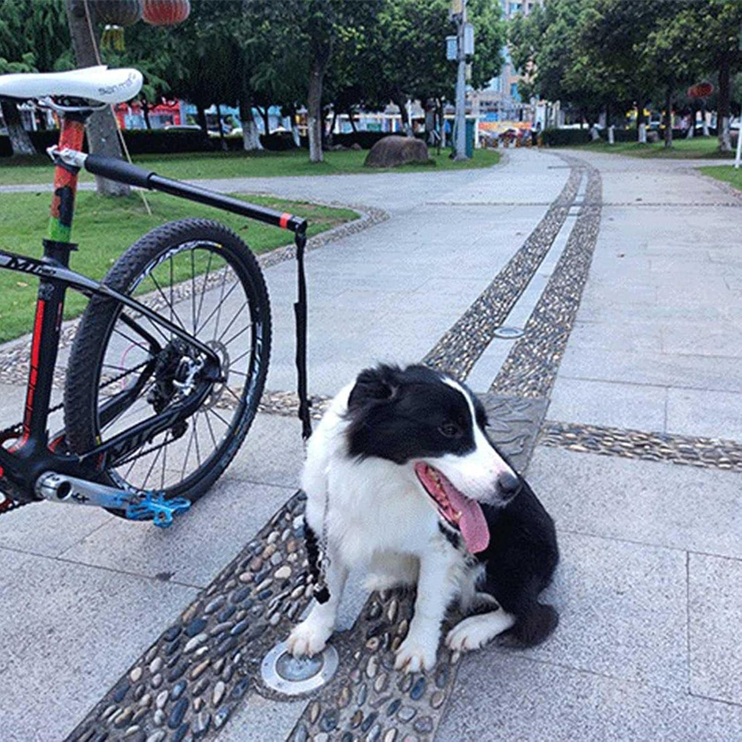 BARRA GUÍA DE ACERO INOXIDABLE PARA PASEO EN BICICLETA CON PERRO
