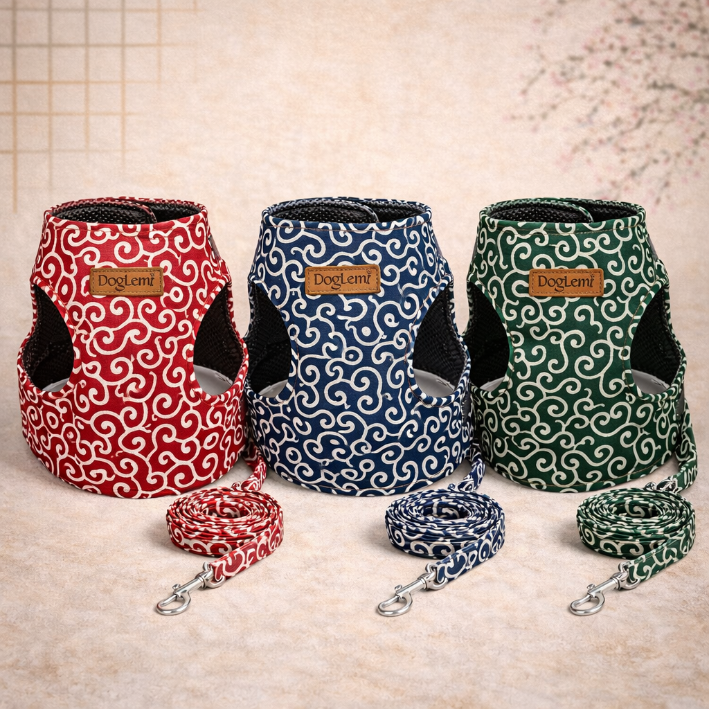 SET PASEO ANTIFUGA ZEN PAW™