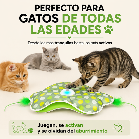 Interactive PAW™ Hunting System