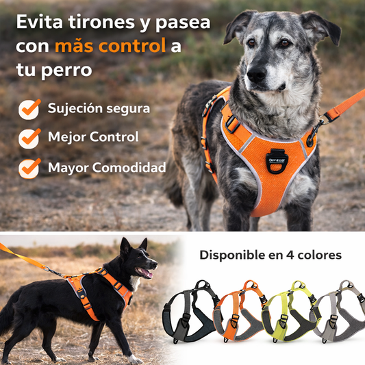 ARNÉS ANTITIRONES CONTROL TOTAL PAW™