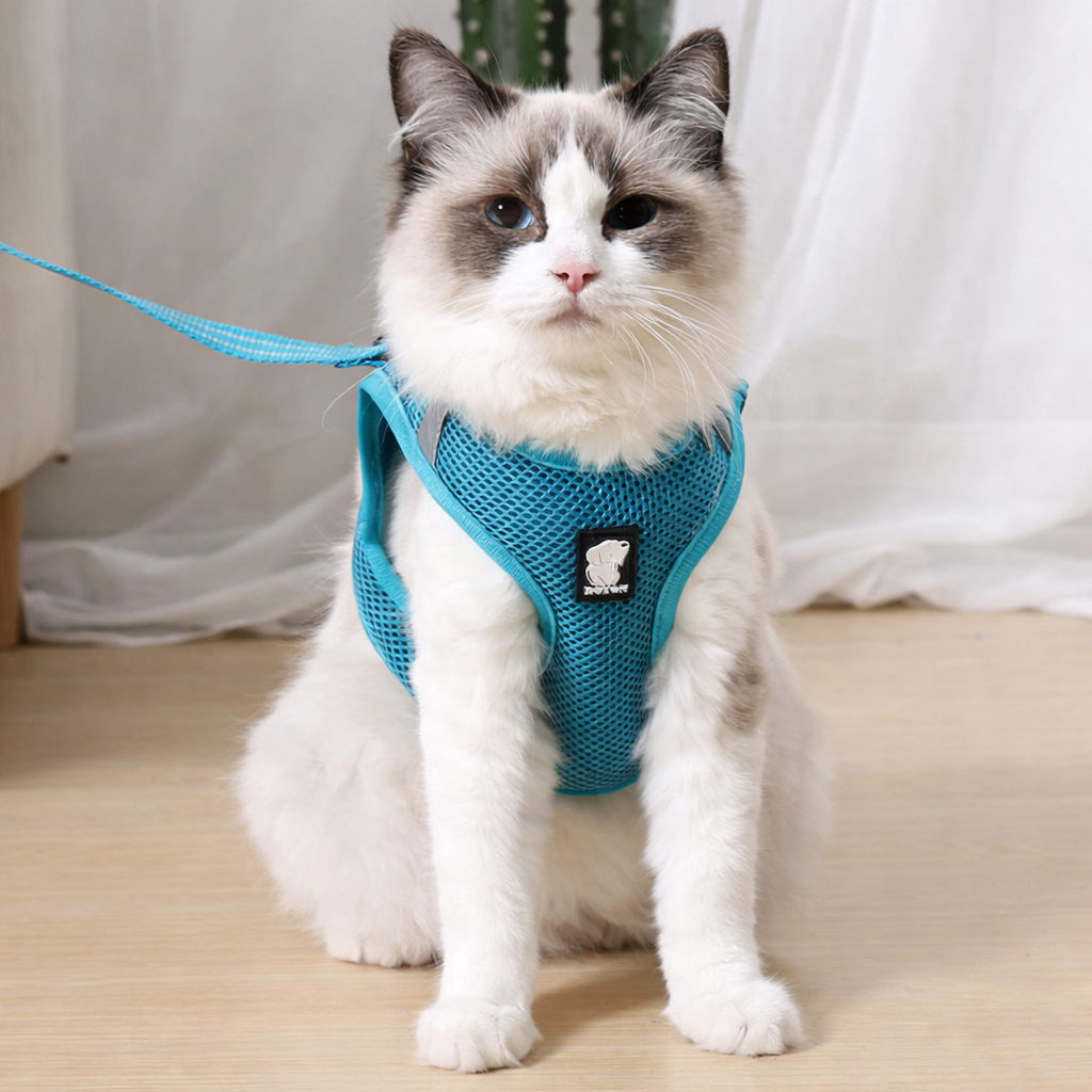 ARNÉS CONTROL ANTIESCAPE™