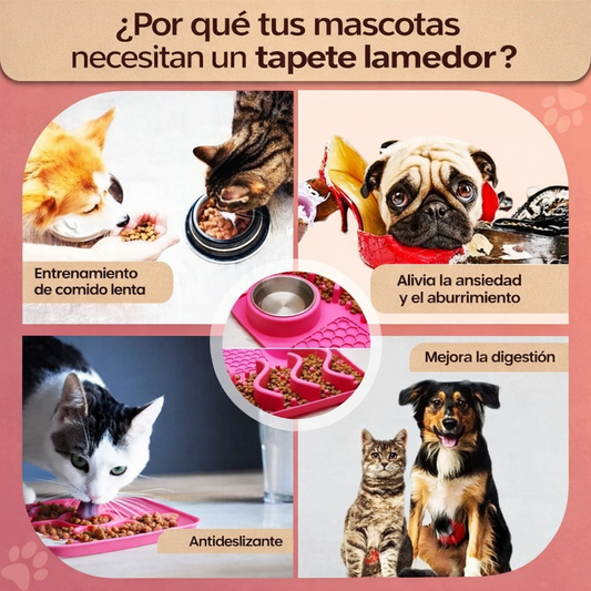COMEDERO CALMA & COME PAW™ 5EN1