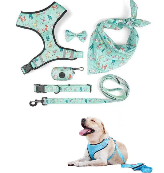 PACK AVENTURA COMPLETO 6-EN-1 "CHIC-PAWLY" CON ESTAMPADO PREMIUM
