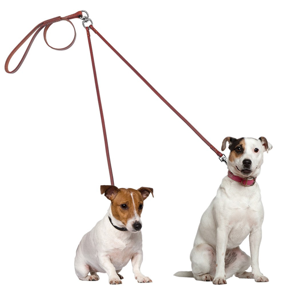 CORREA DE DOBLE CONTROL TOTAL PAW™