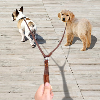 CORREA DE DOBLE CONTROL TOTAL PAW™