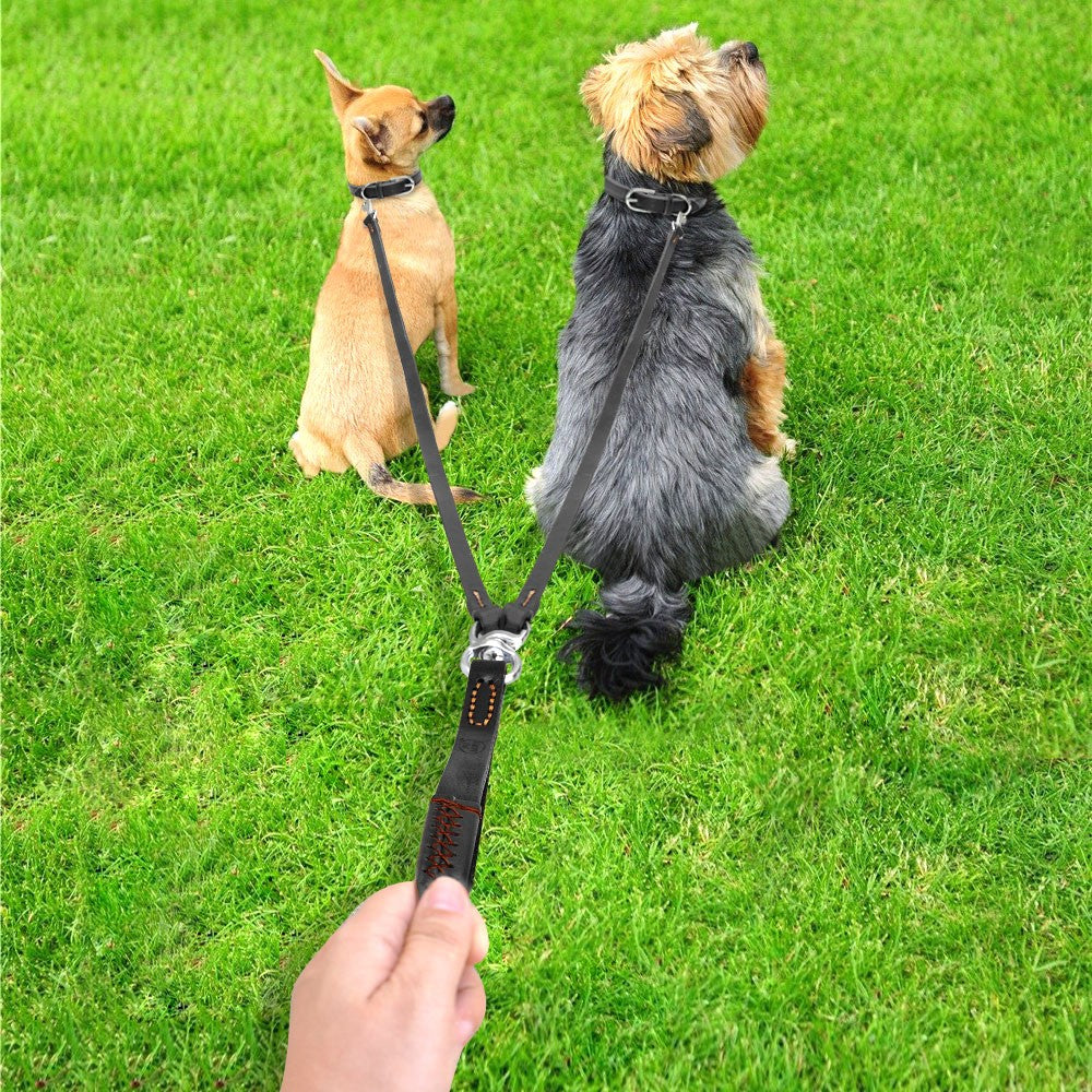 CORREA DE DOBLE CONTROL TOTAL PAW™