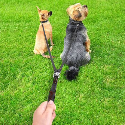 CORREA DE DOBLE CONTROL TOTAL PAW™