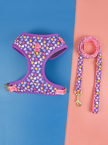 MIMO HARNESS SET FOR DOGS