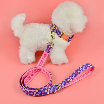 PACK MIMO PASEO CLÁSICO PAW™