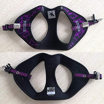 ARNÉS "TITANIUM-STRENGTH" ERGO-X