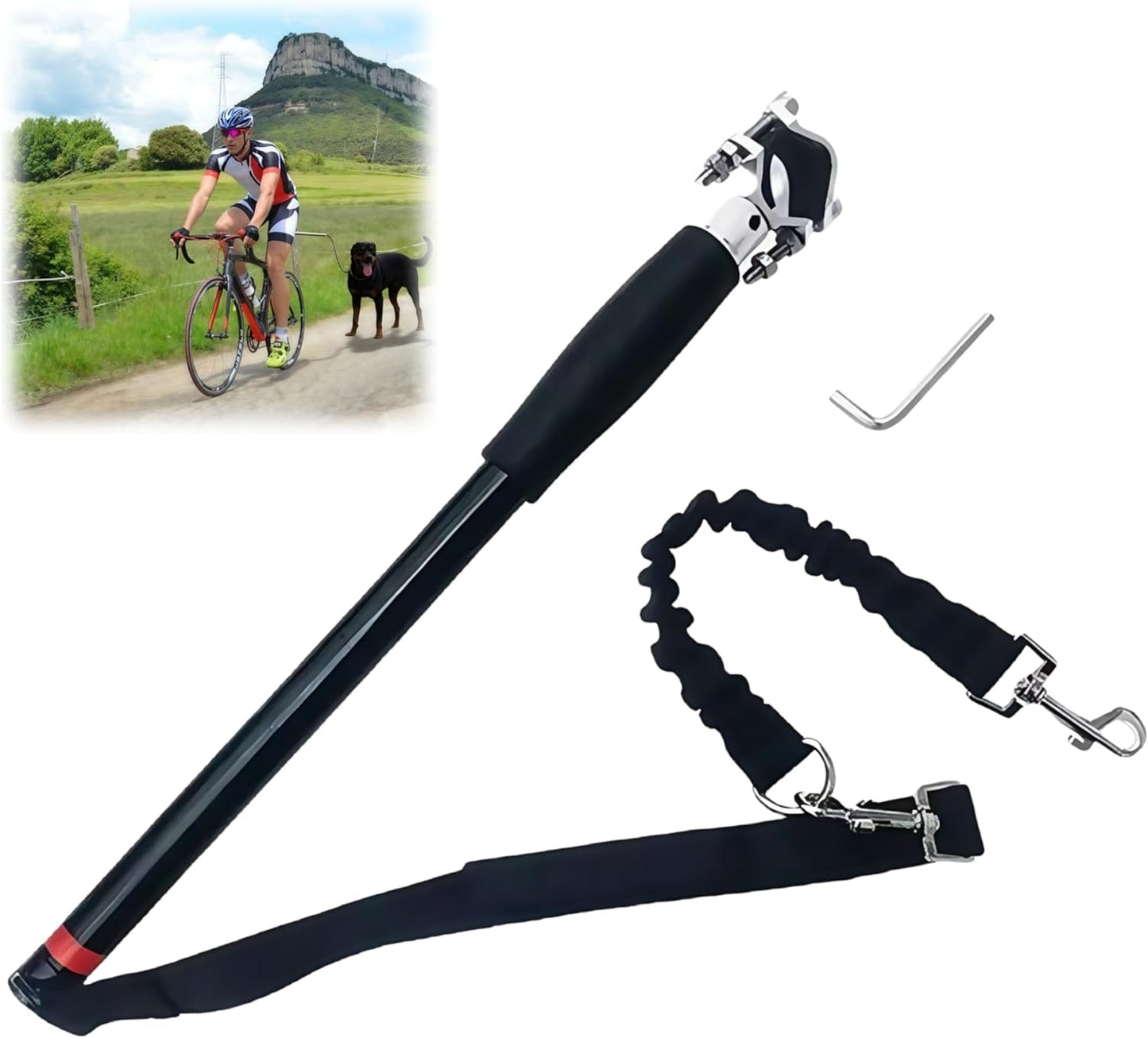 BARRA GUÍA DE ACERO INOXIDABLE PARA PASEO EN BICICLETA CON PERRO