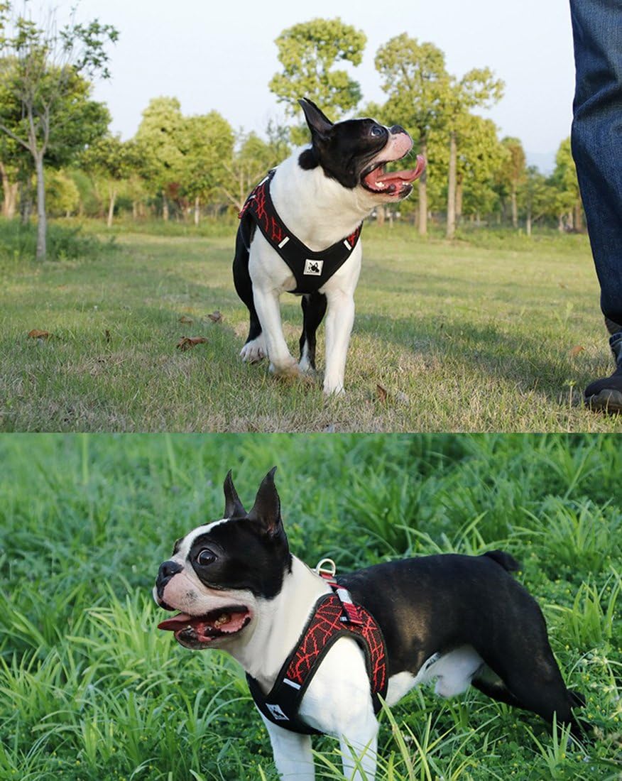 ARNÉS "TITANIUM-STRENGTH" ERGO-X