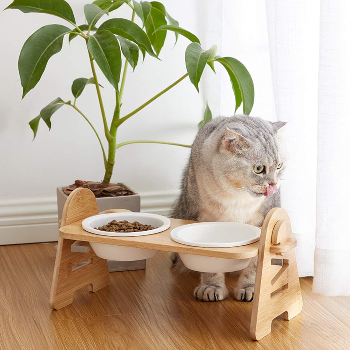 COMEDERO ELEVADO PAW™