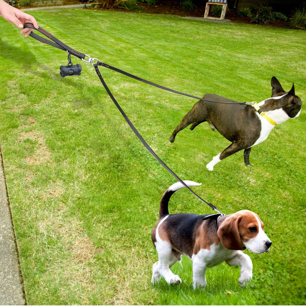CORREA DE DOBLE CONTROL TOTAL PAW™