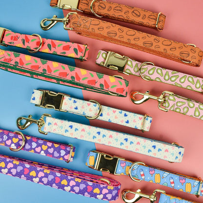 PACK MIMO PASEO CLÁSICO PAW™