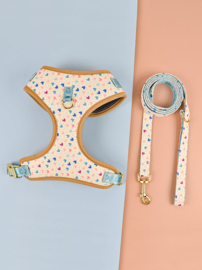 MIMO HARNESS SET FOR DOGS
