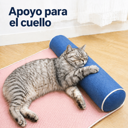 COLCHÓN REFRESCANTE ERGO PAW™