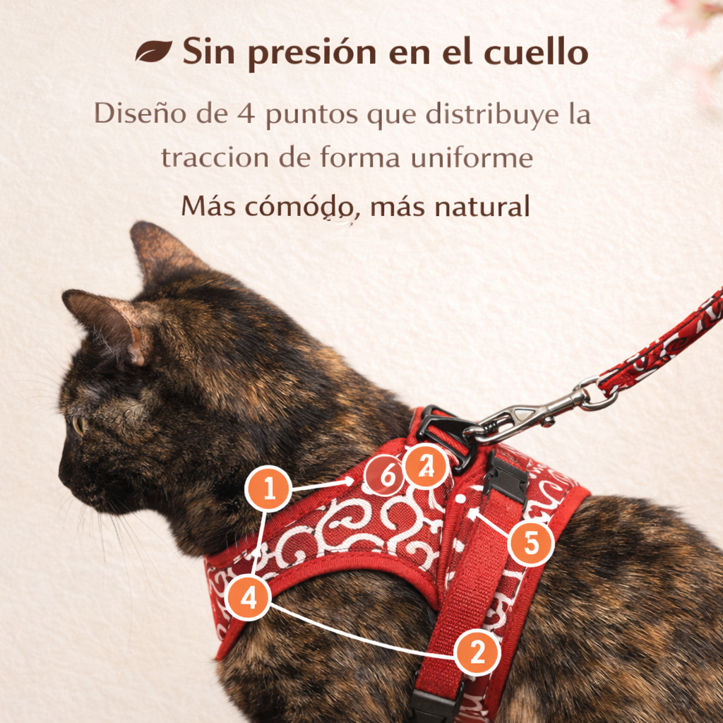 SET PASEO ANTIFUGA ZEN PAW™