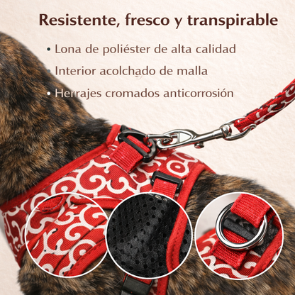 SET PASEO ANTIFUGA ZEN PAW™