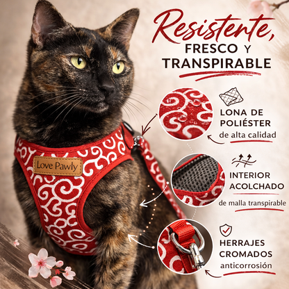 SET PASEO ANTIFUGA ZEN PAW™