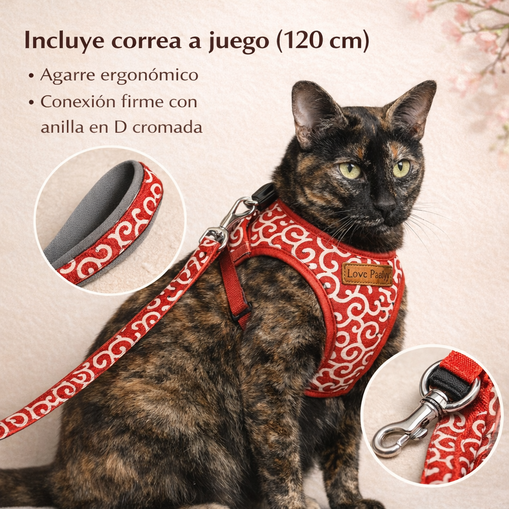 SET PASEO ANTIFUGA ZEN PAW™