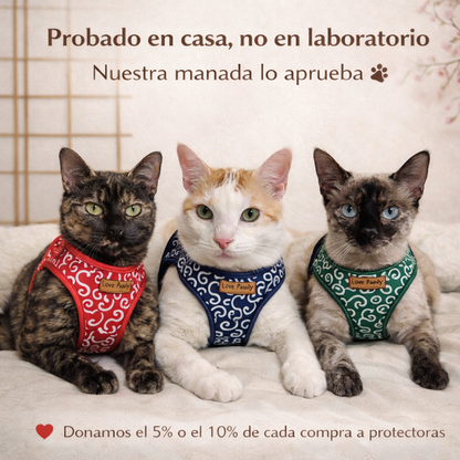 SET PASEO ANTIFUGA ZEN PAW™