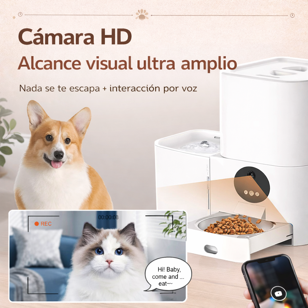 COMEDERO VISION 2 EN 1 PAW™