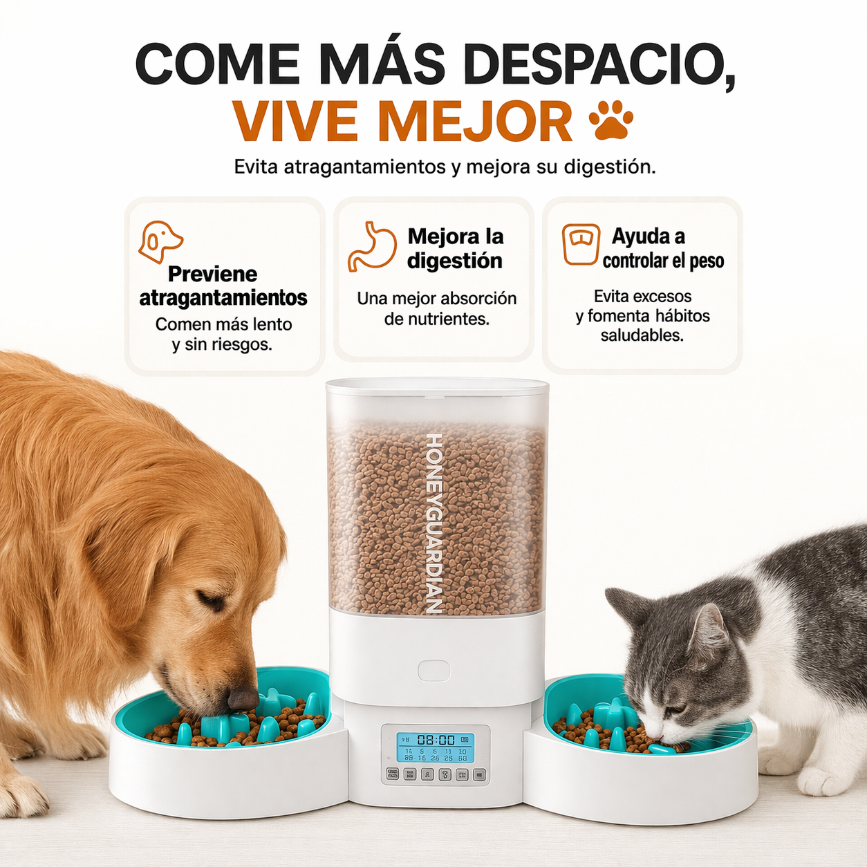 COMEDERO INTELIGENTE BALANCE PAW™