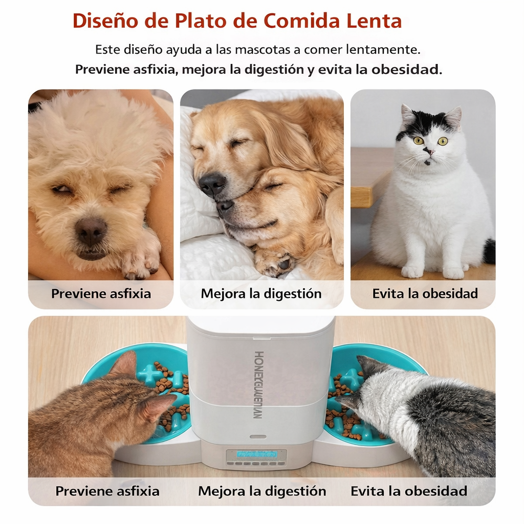 COMEDERO INTELIGENTE BALANCE PAW™