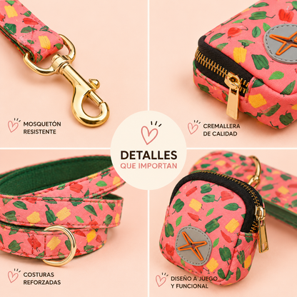 PACK MIMO PASEO PRÁCTICO PAW™