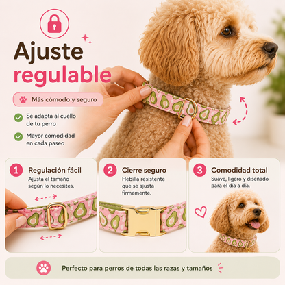 PACK MIMO PASEO CLÁSICO PAW™