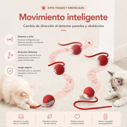 PELOTA INTELIGENTE CAZA PAW™