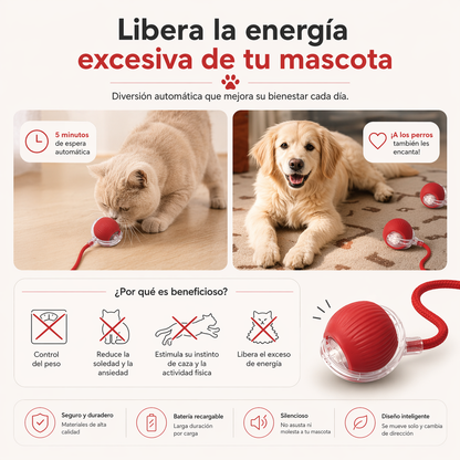 PELOTA INTELIGENTE CAZA PAW™