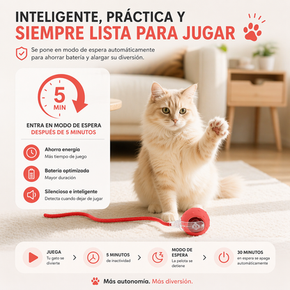 PELOTA INTELIGENTE CAZA PAW™