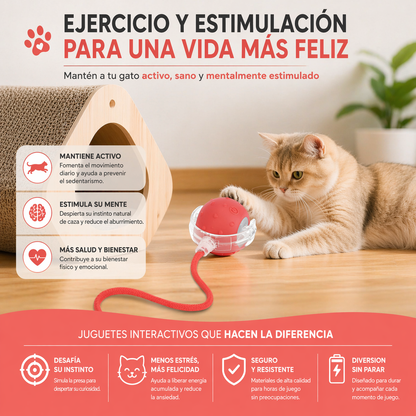 PELOTA INTELIGENTE CAZA PAW™