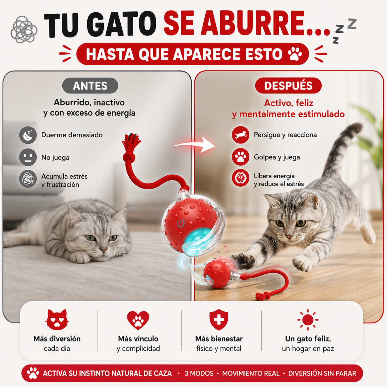 PELOTA INTELIGENTE CAZA PAW™