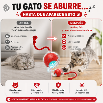 PELOTA INTELIGENTE CAZA PAW™