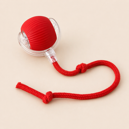 PELOTA INTELIGENTE CAZA PAW™
