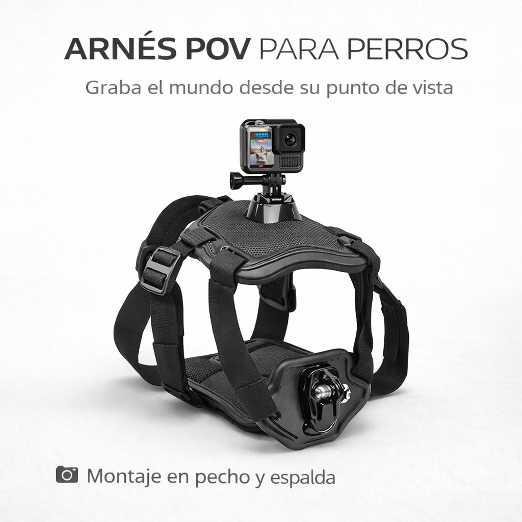 ARNÉS GOPRO PRO PAW™ POV