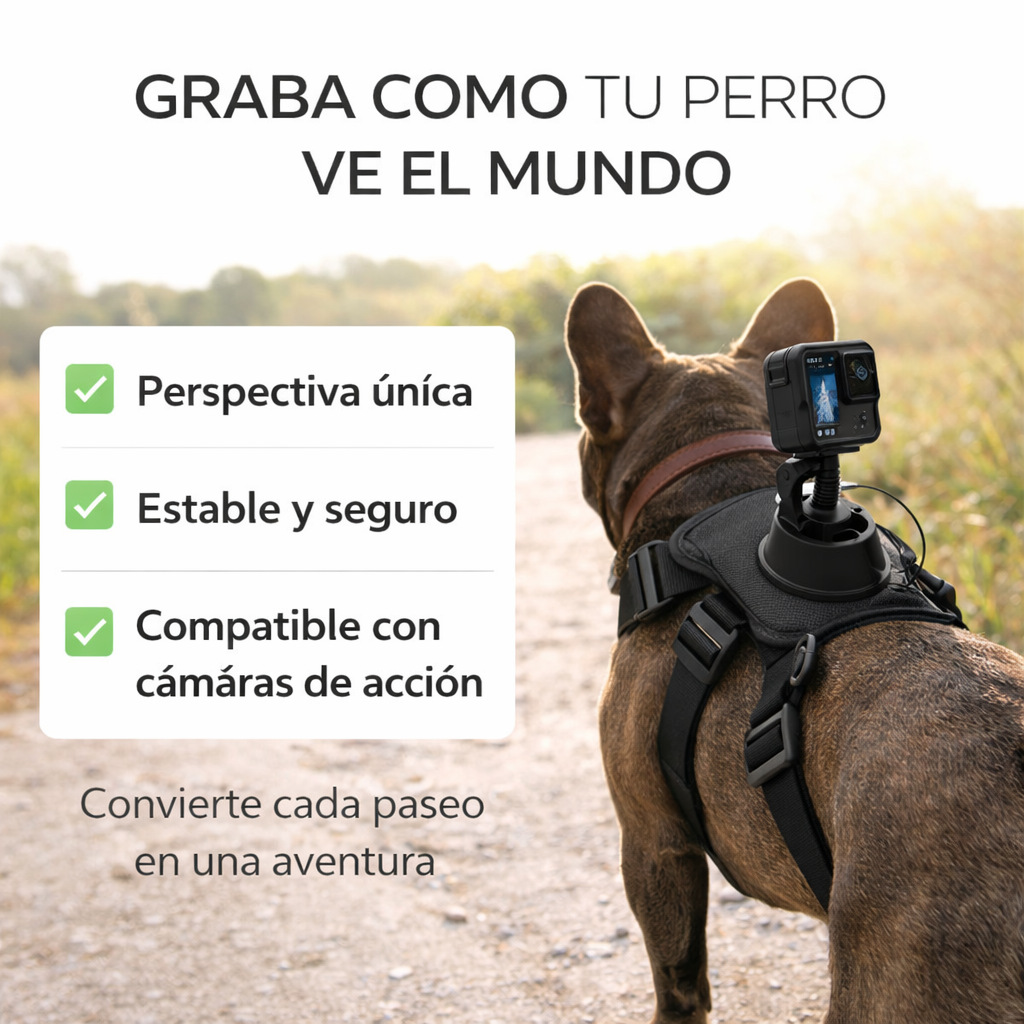 ARNÉS GOPRO PRO PAW™ POV
