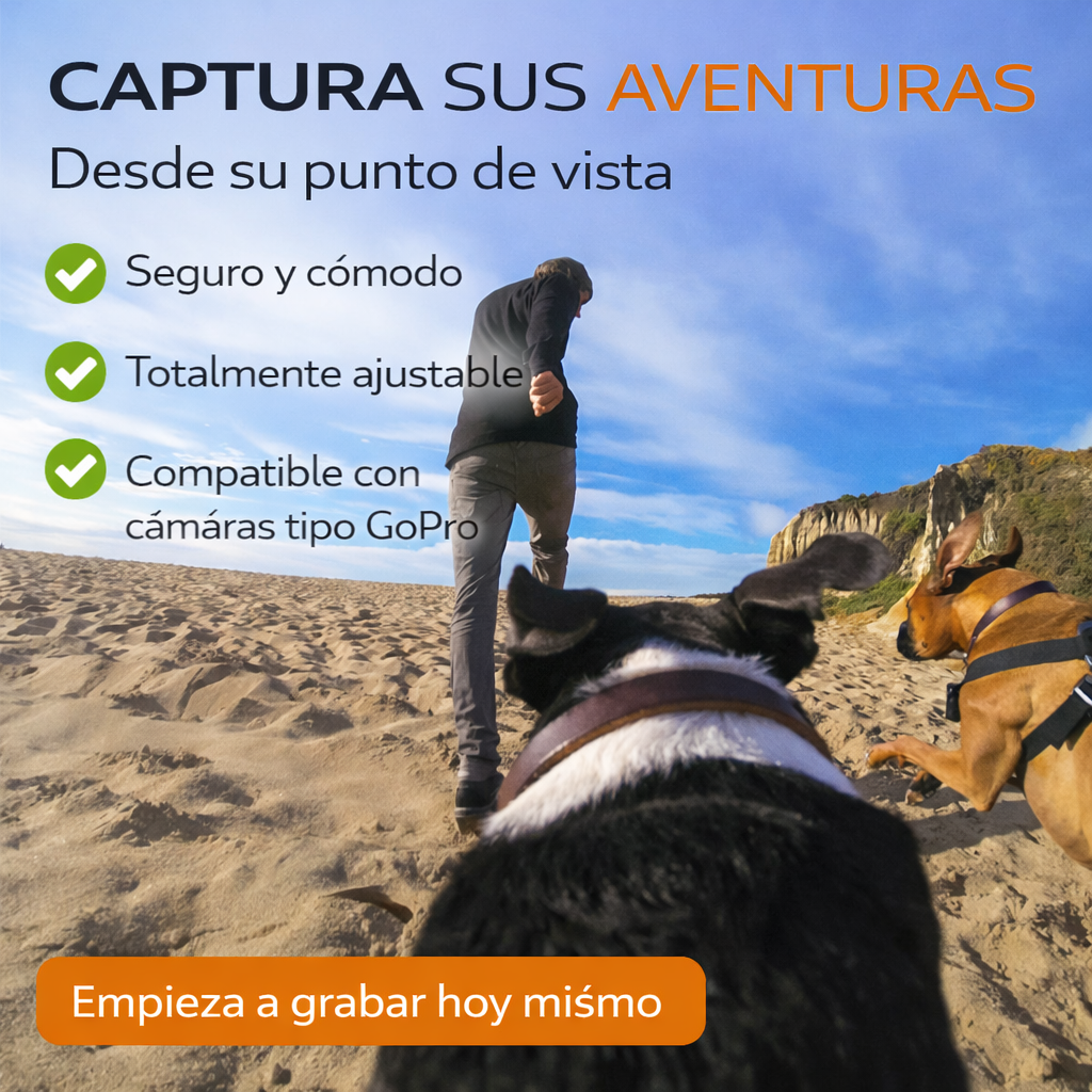 ARNÉS GOPRO PRO PAW™ POV