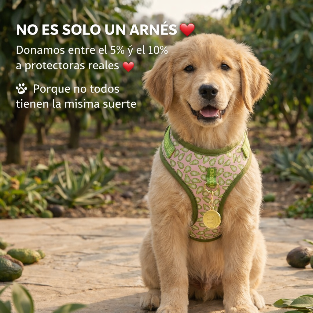MIMO HARNESS SET FOR DOGS