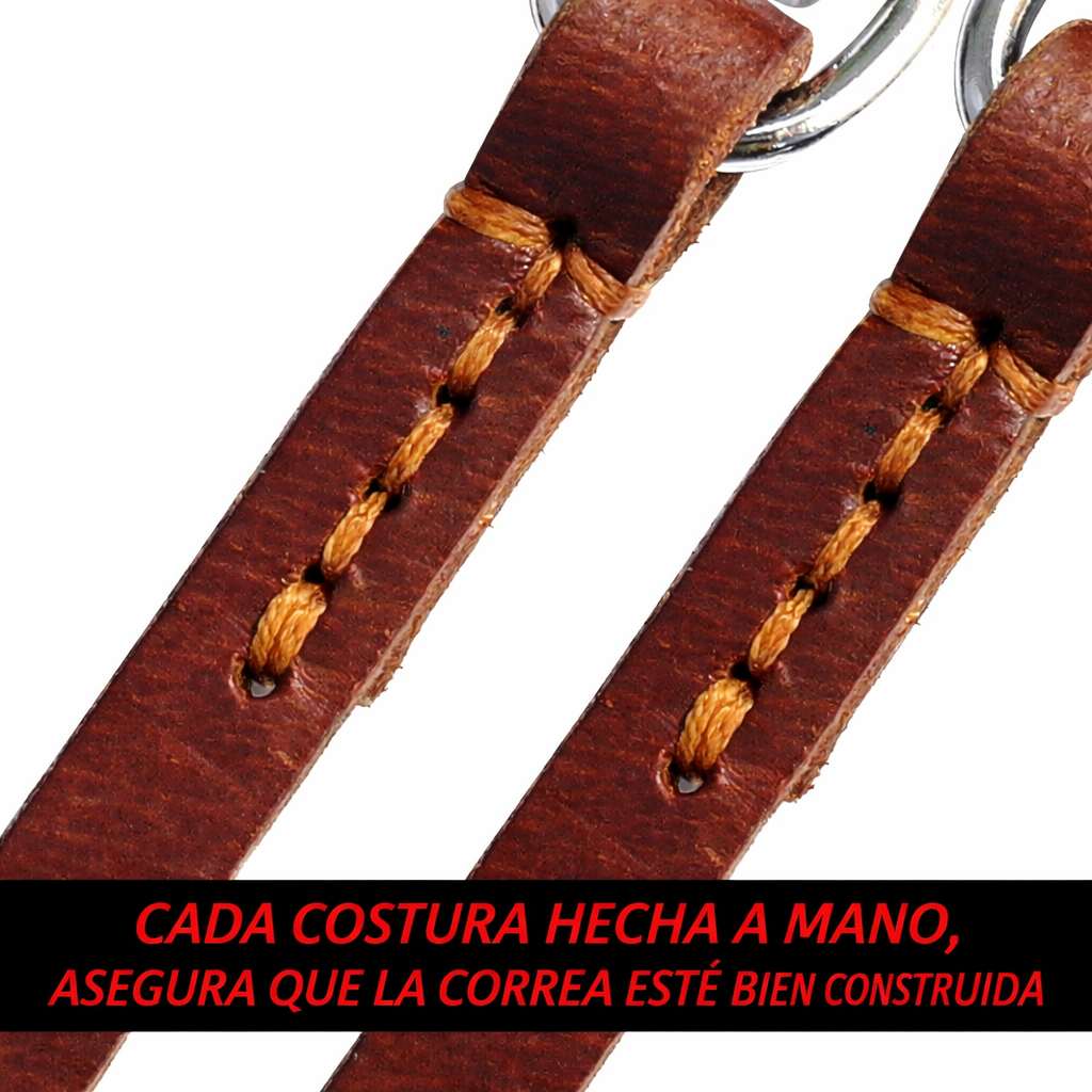 CORREA DE DOBLE CONTROL TOTAL PAW™