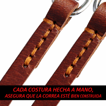 CORREA DE DOBLE CONTROL TOTAL PAW™