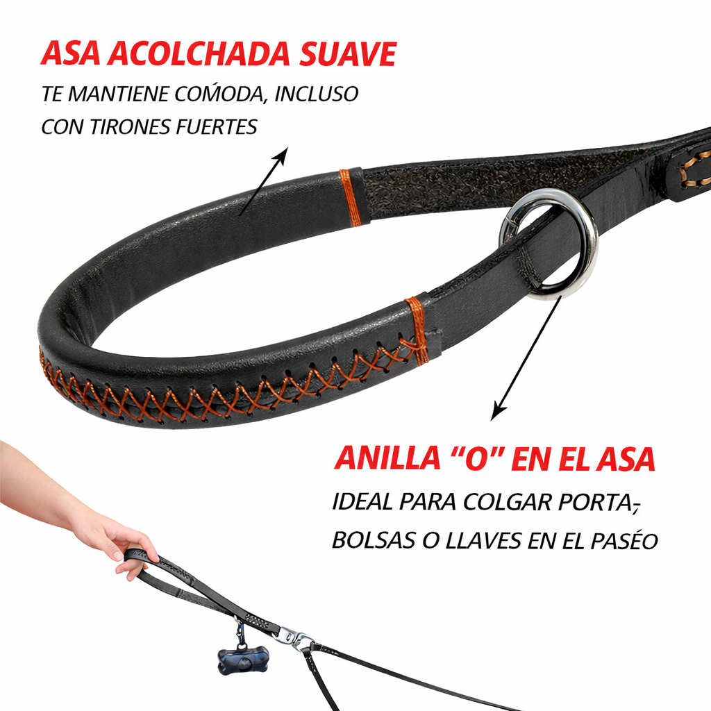 CORREA DE DOBLE CONTROL TOTAL PAW™