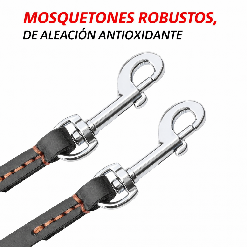 CORREA DE DOBLE CONTROL TOTAL PAW™