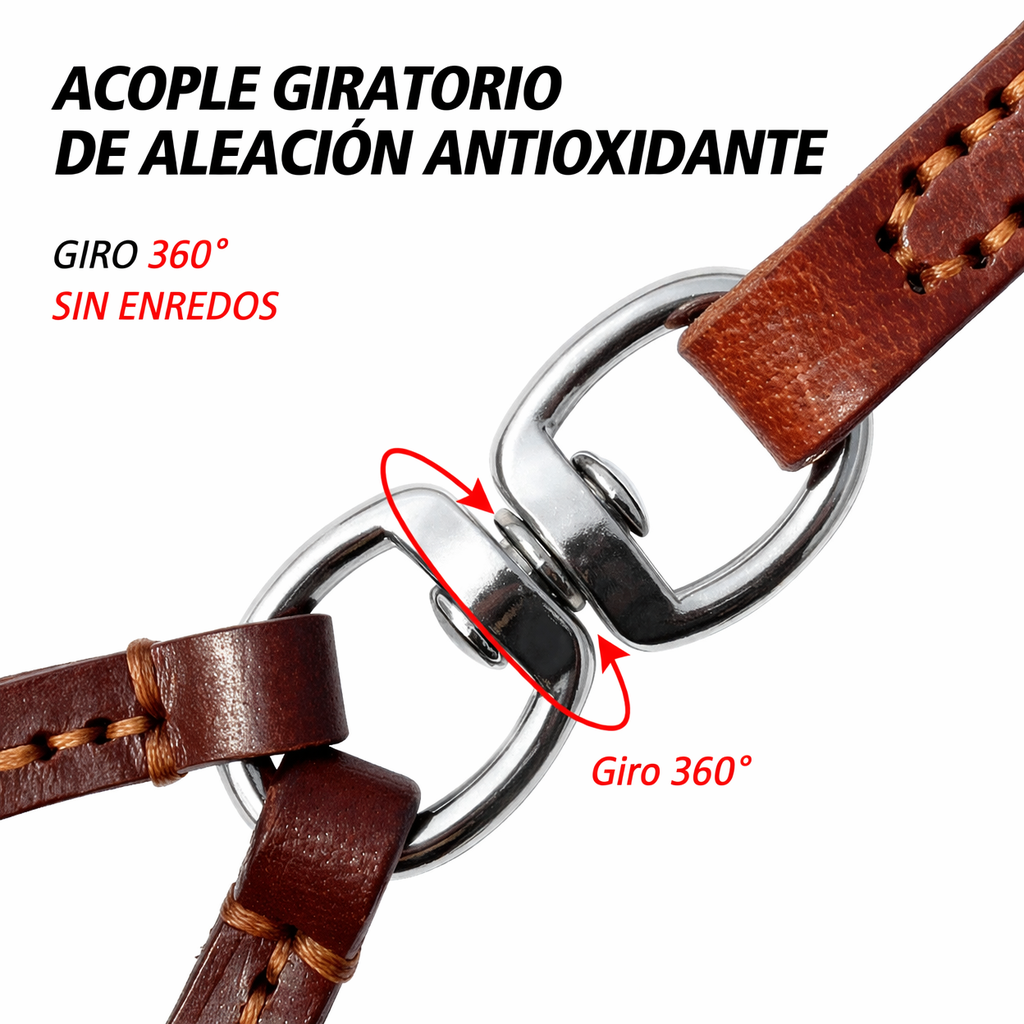CORREA DE DOBLE CONTROL TOTAL PAW™