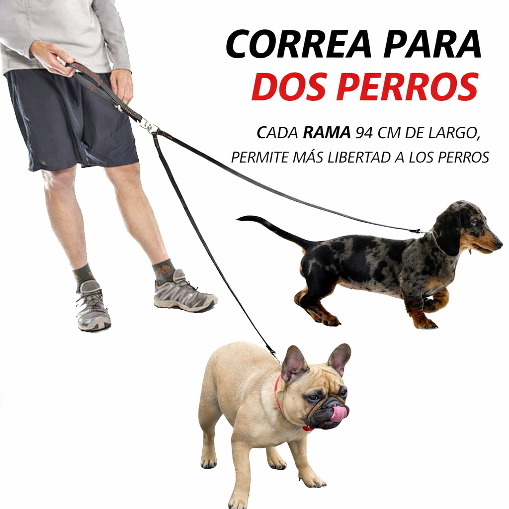 CORREA DE DOBLE CONTROL TOTAL PAW™