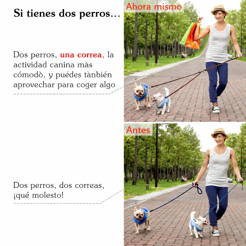 CORREA DE DOBLE CONTROL TOTAL PAW™